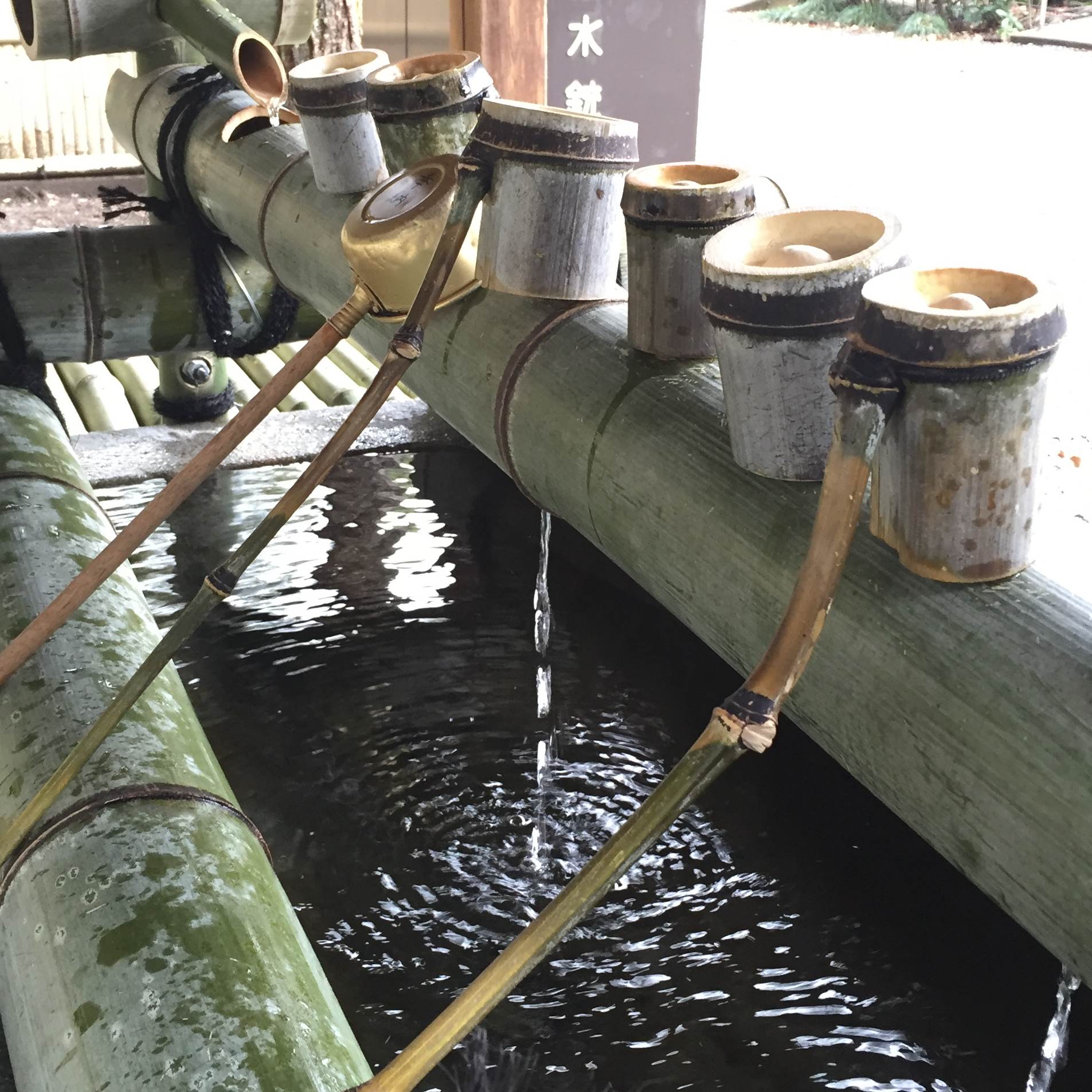 水無瀬神宮の離宮の水